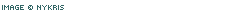 Image  NYKRIS